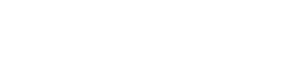 logo blanco lizardi